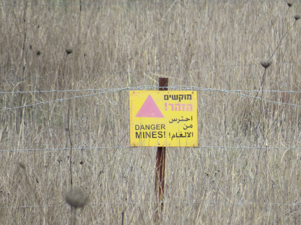 Na Golanski planoti ob meji s Sirijo je še veliko minskih polj iz leta 1967, kjer mine še niso aktivirane. Ker tod beduini pasejo svojo živino še vedno prav tako kot pred 3000 leti, se zgodi, da včasih ni potrebno poskrbeti za zakol...